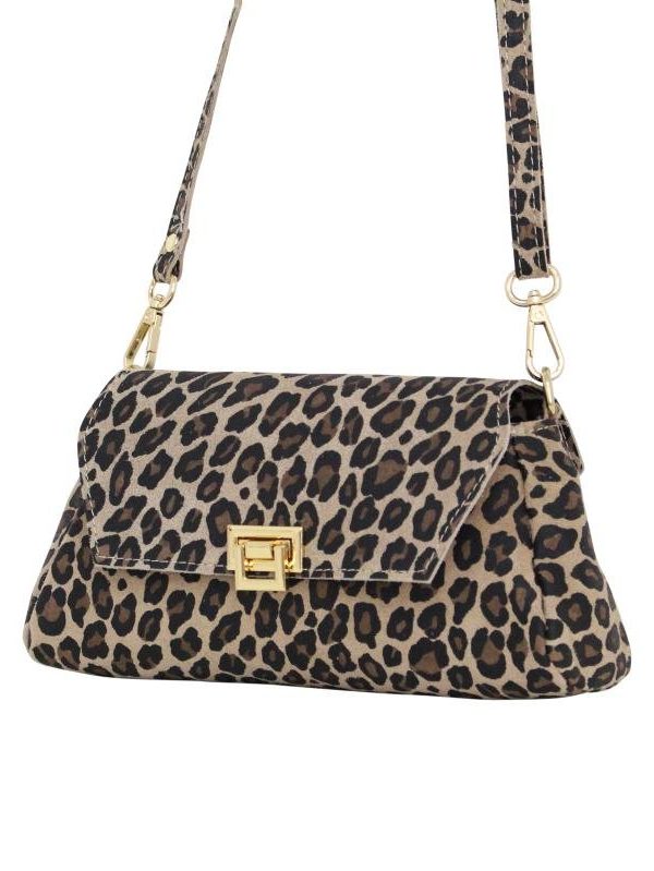 Wild touch - Leopard